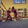 Boxerská extraliga: Prostějov - Dubnica (21. září 2013)