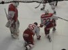 Hokej: Jestřábi - Slavia Praha (4. března 2016)