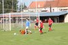 Fotbal Držovice Přemyslovice (4.6.16)